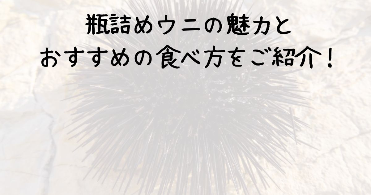 瓶詰めウニの魅力とおすすめの食べ方をご紹介！